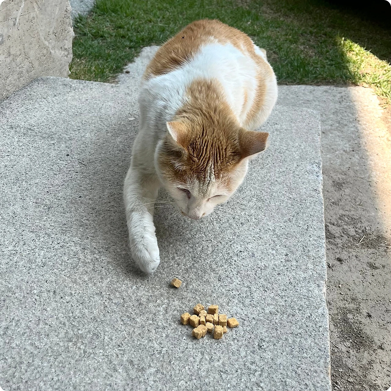 IMG_3793.jpg?type=w1600