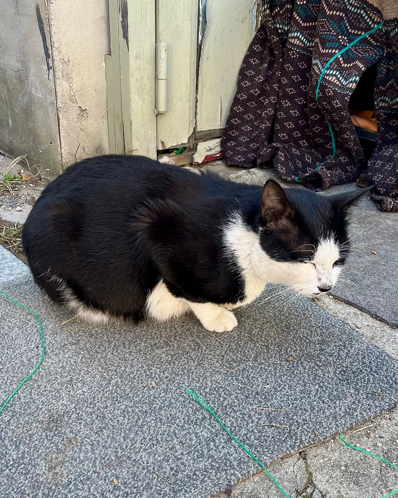 IMG%EF%BC%BF4479.jpg?type=w1600