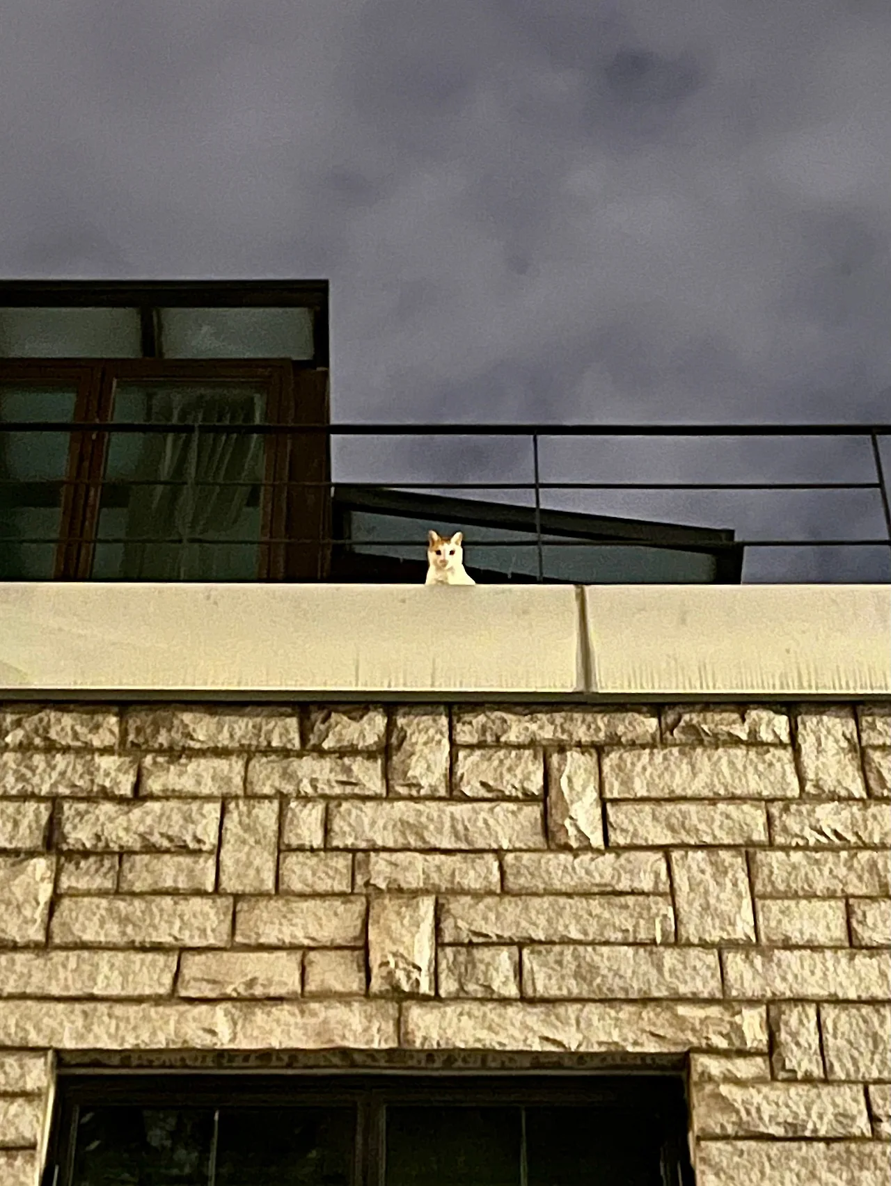 IMG%EF%BC%BF3189.jpg?type=w1600