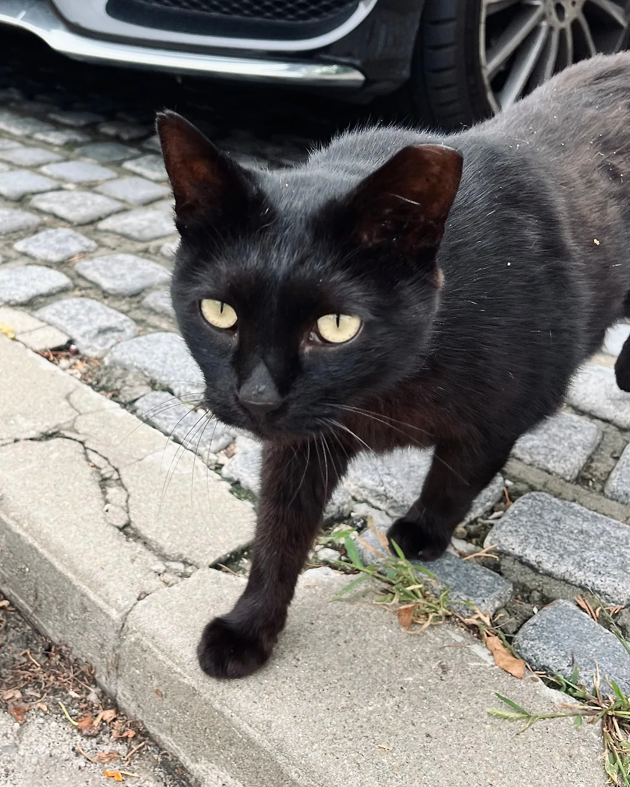 IMG%EF%BC%BF6856.jpg?type=w1600