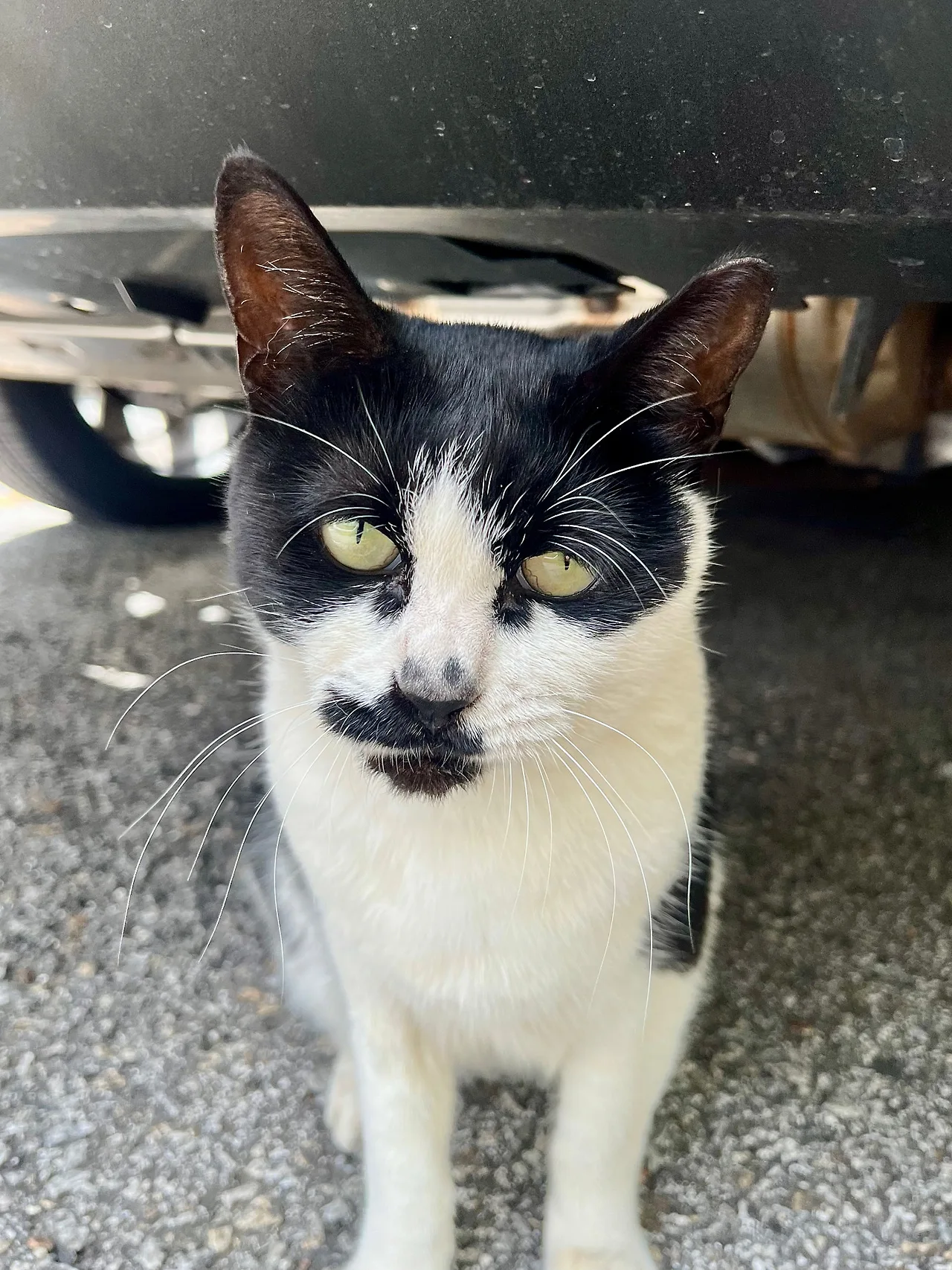 IMG%EF%BC%BF1457.jpg?type=w1600