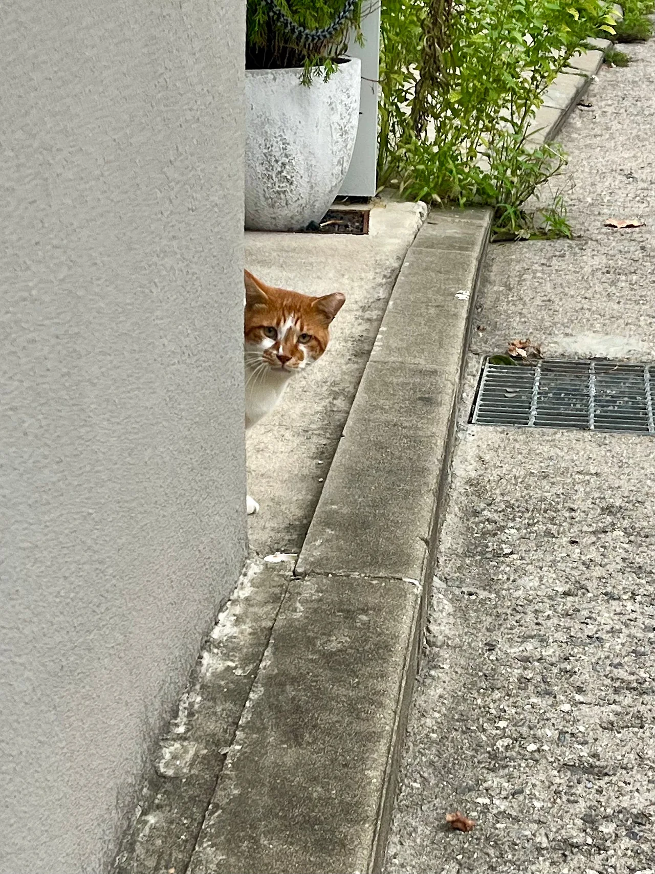 IMG%EF%BC%BF0714.jpg?type=w1600