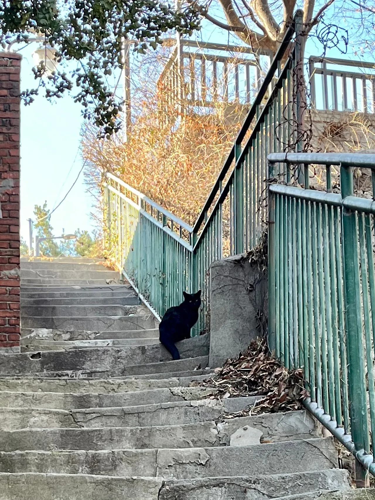 IMG%EF%BC%BF0770.jpg?type=w1600