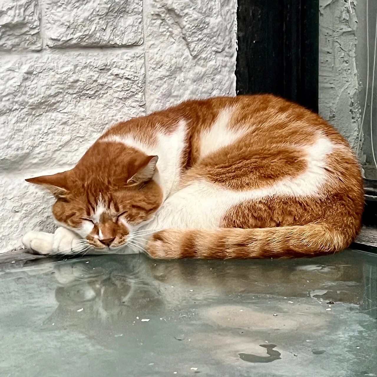 IMG%EF%BC%BF1845.jpg?type=w1600