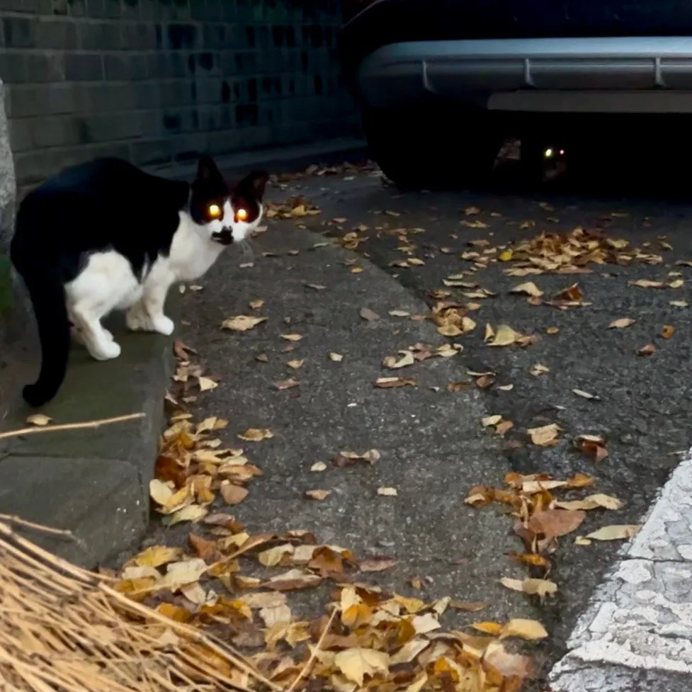 IMG%EF%BC%BF3542.jpg?type=w1600