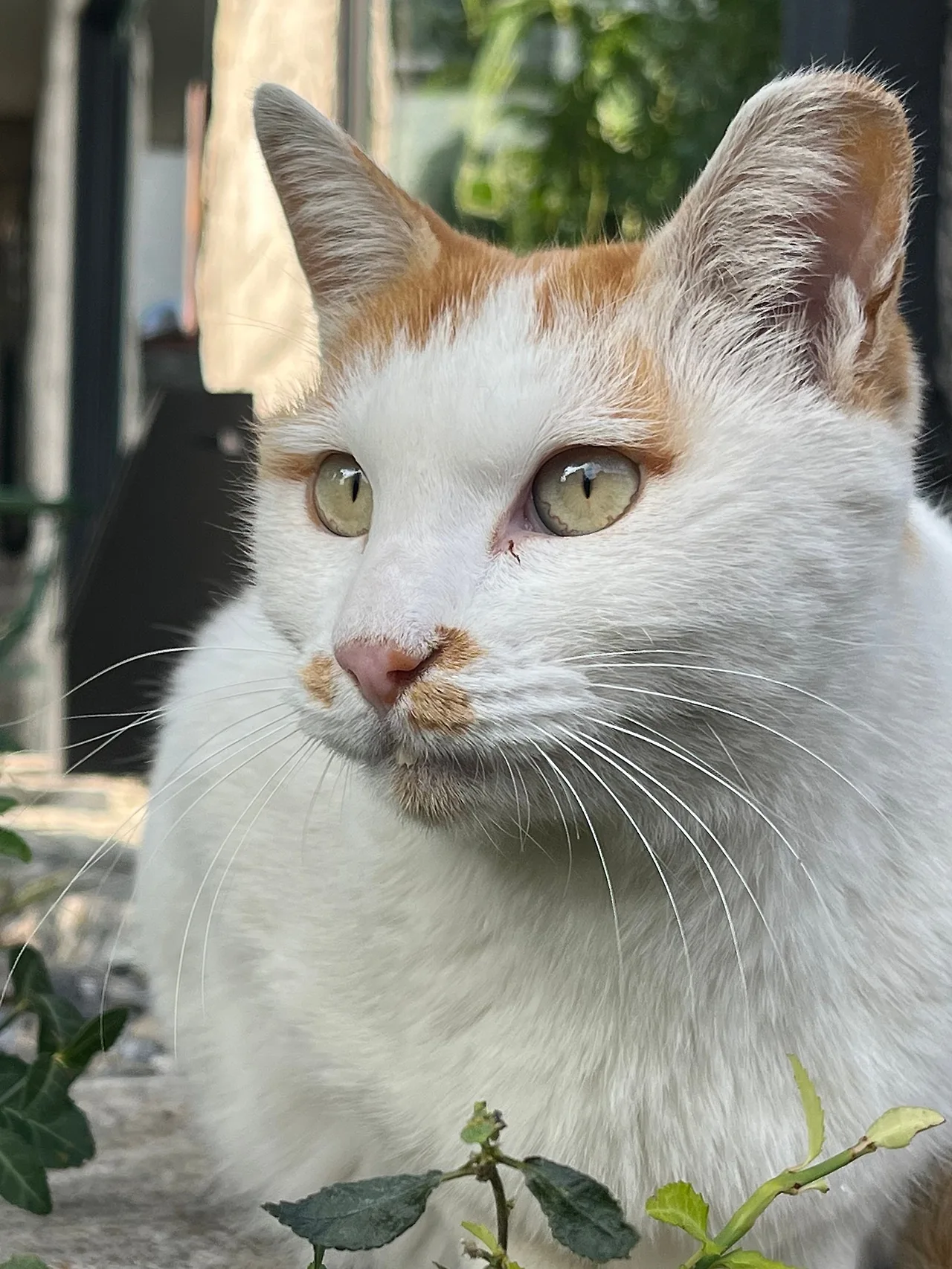 IMG%EF%BC%BF4130.jpg?type=w1600