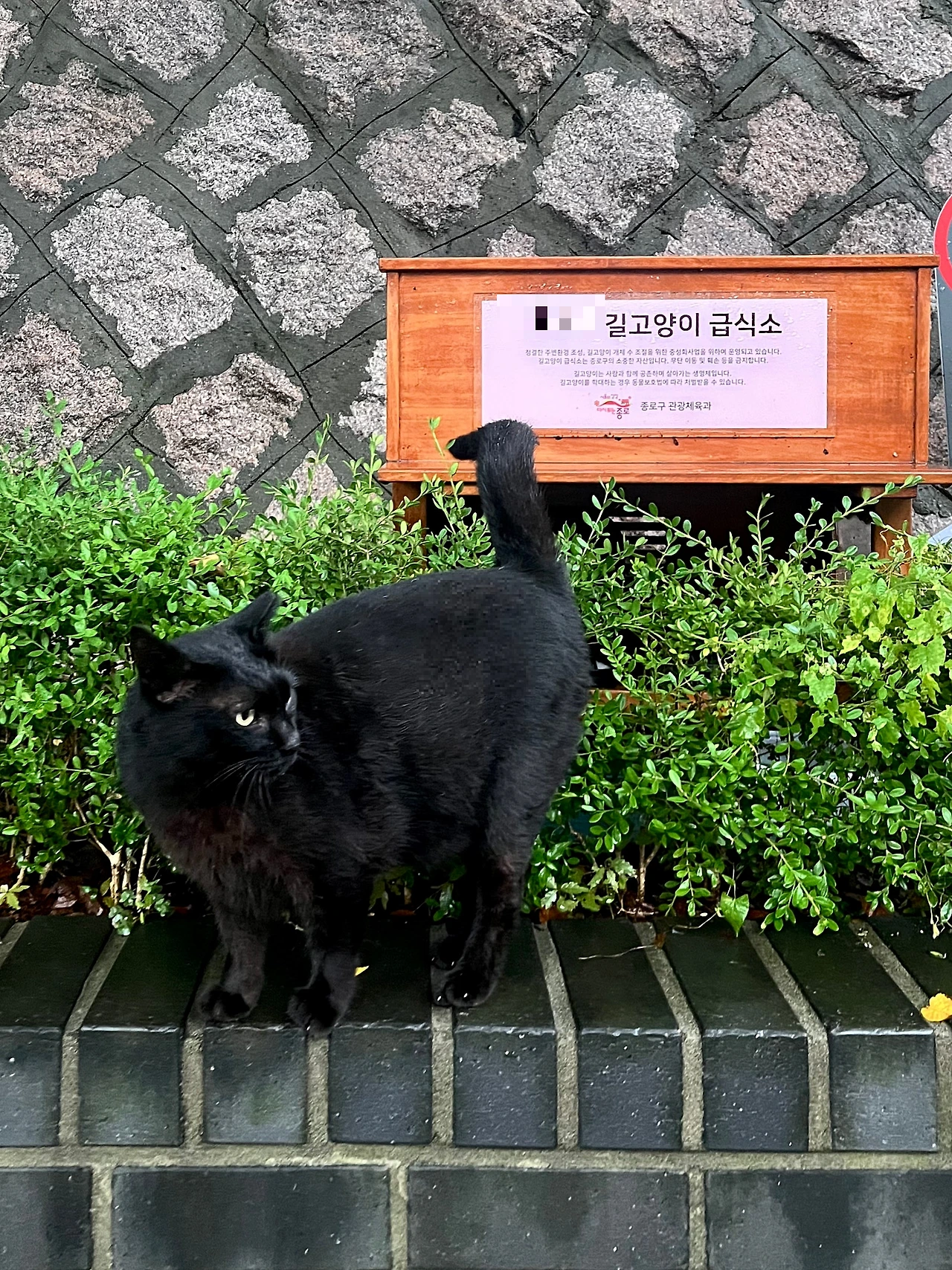 IMG%EF%BC%BF2062.jpg?type=w1600