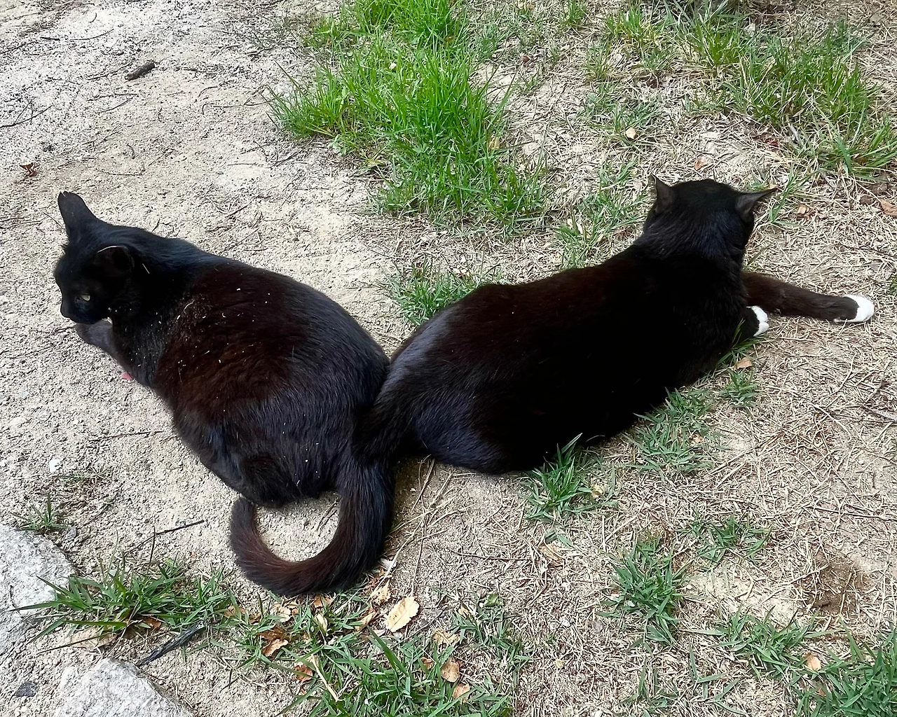 IMG%EF%BC%BF5799.jpg?type=w1600