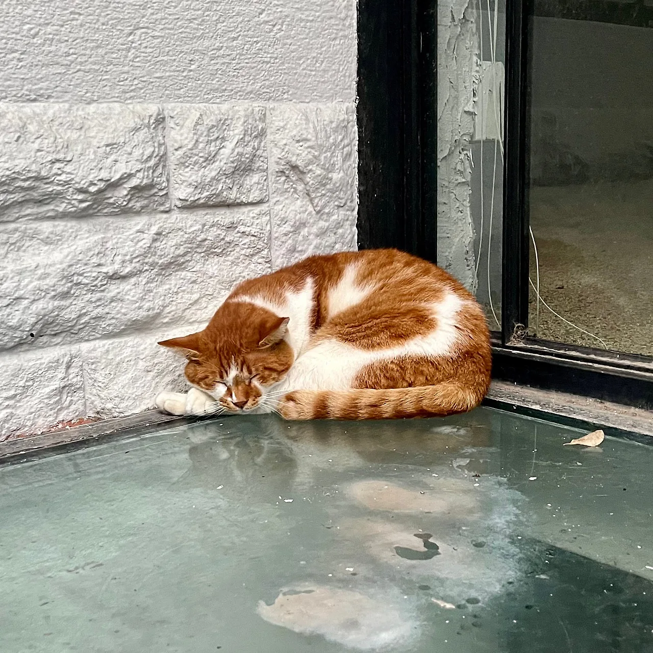 IMG%EF%BC%BF1844.jpg?type=w1600