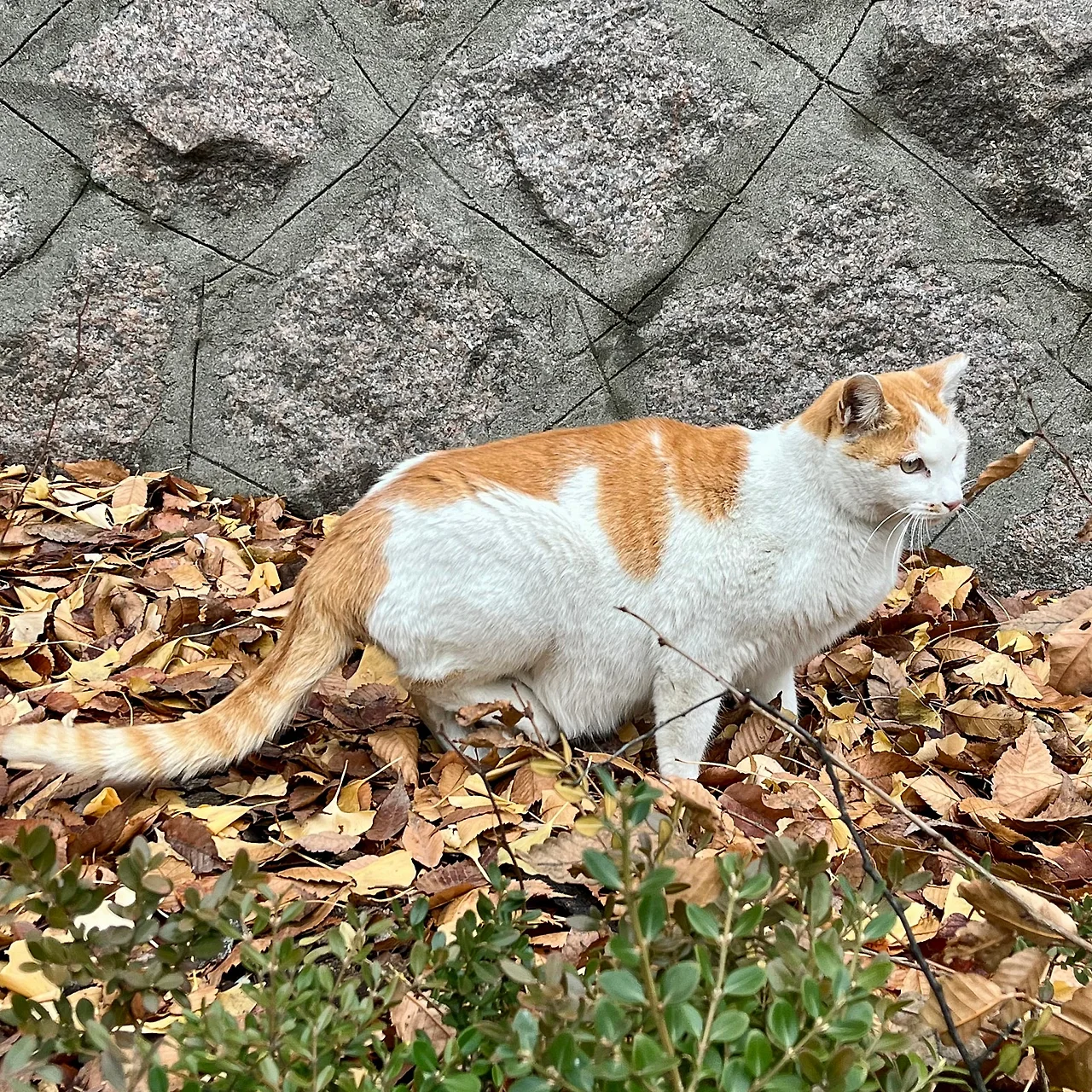 IMG%EF%BC%BF9282.jpg?type=w1600