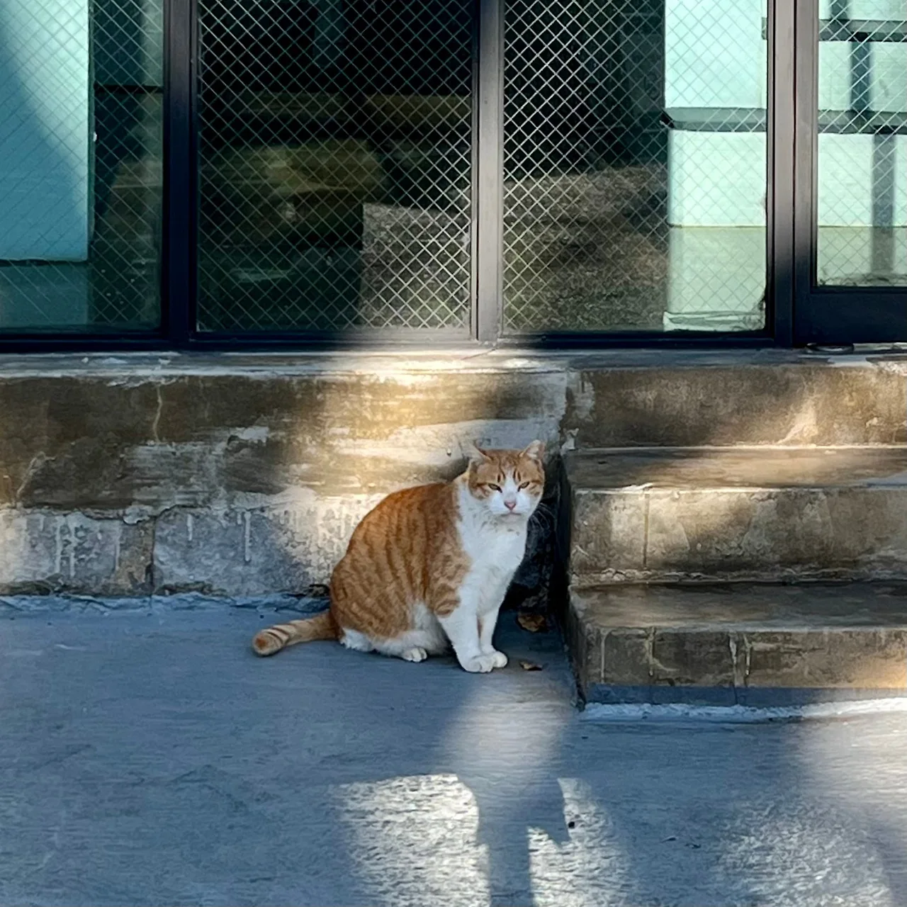 IMG%EF%BC%BF8582.jpg?type=w1600