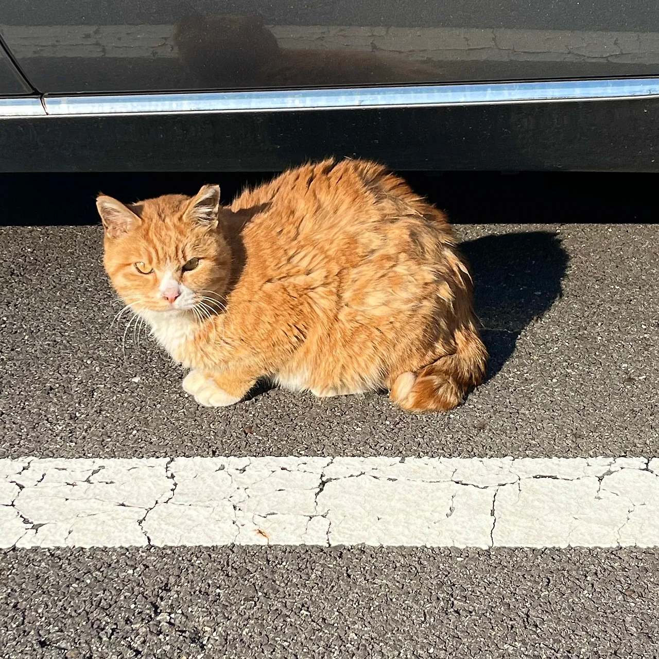 IMG%EF%BC%BF0008.jpg?type=w1600