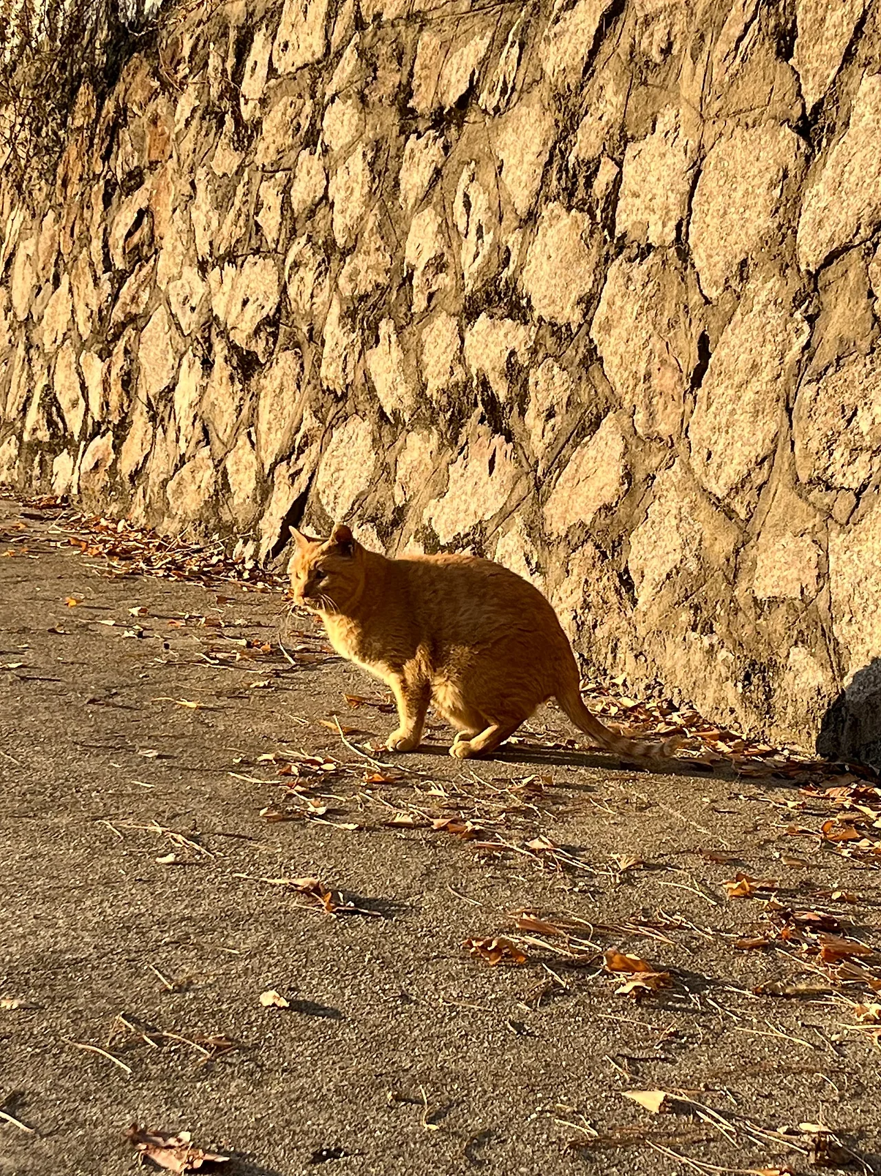 IMG%EF%BC%BF0820.jpg?type=w1600