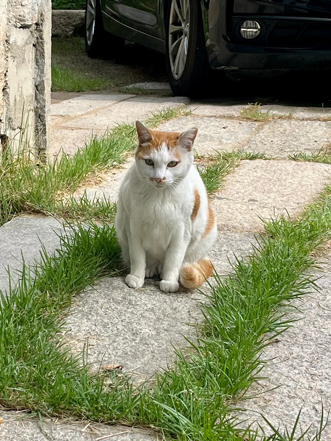 IMG%EF%BC%BF2811.jpg?type=w1600