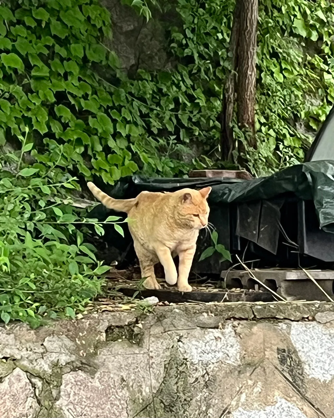 IMG%EF%BC%BF4294.jpg?type=w1600