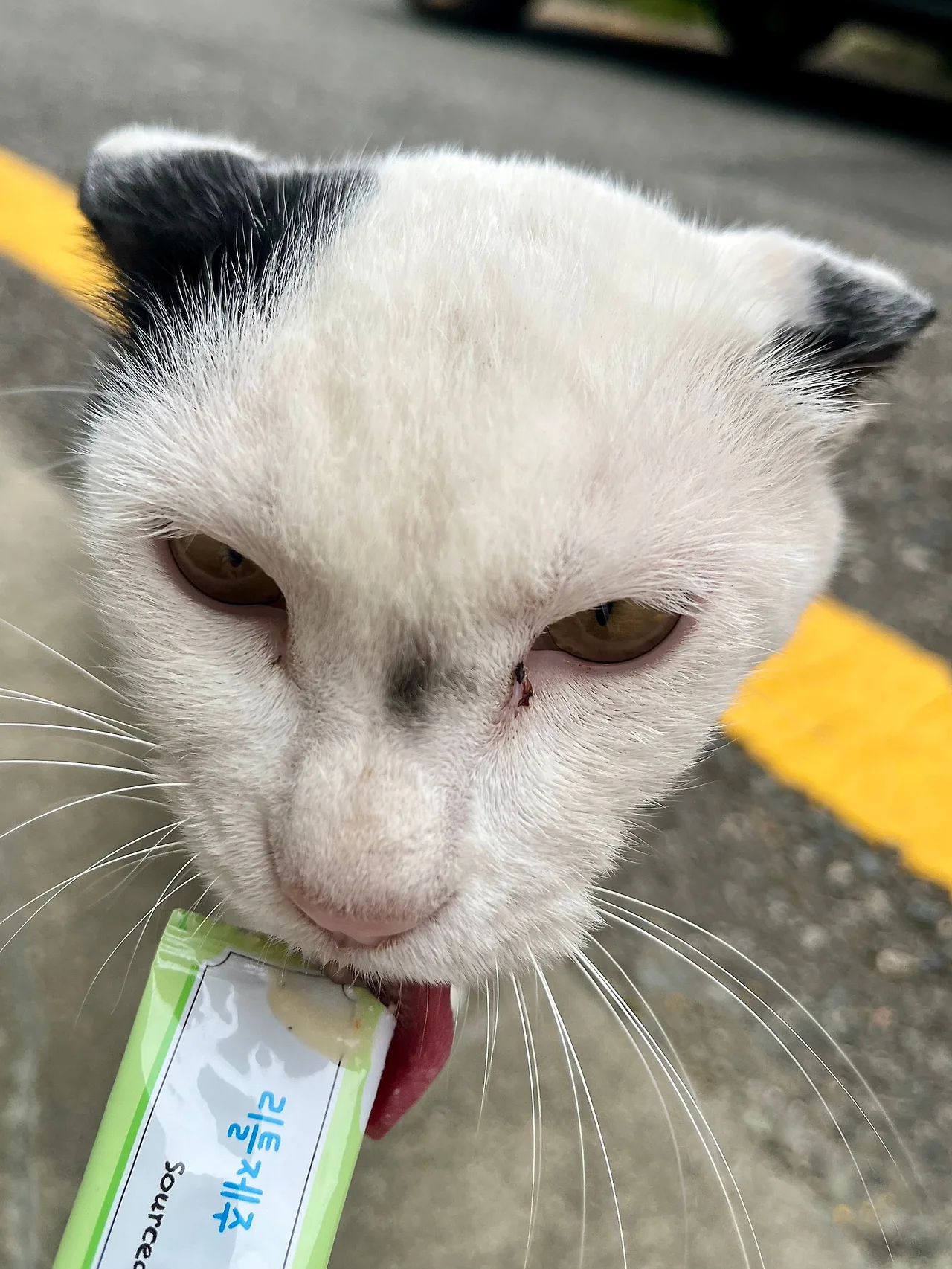 IMG%EF%BC%BF1480.jpg?type=w1600