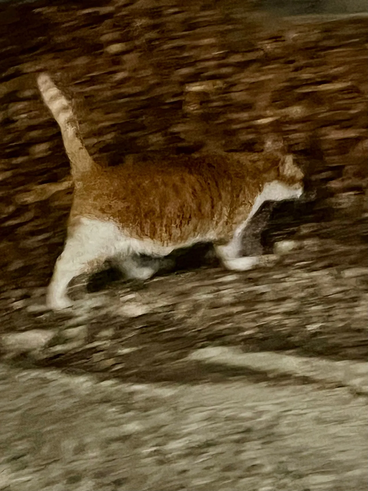 IMG%EF%BC%BF0131.jpg?type=w1600