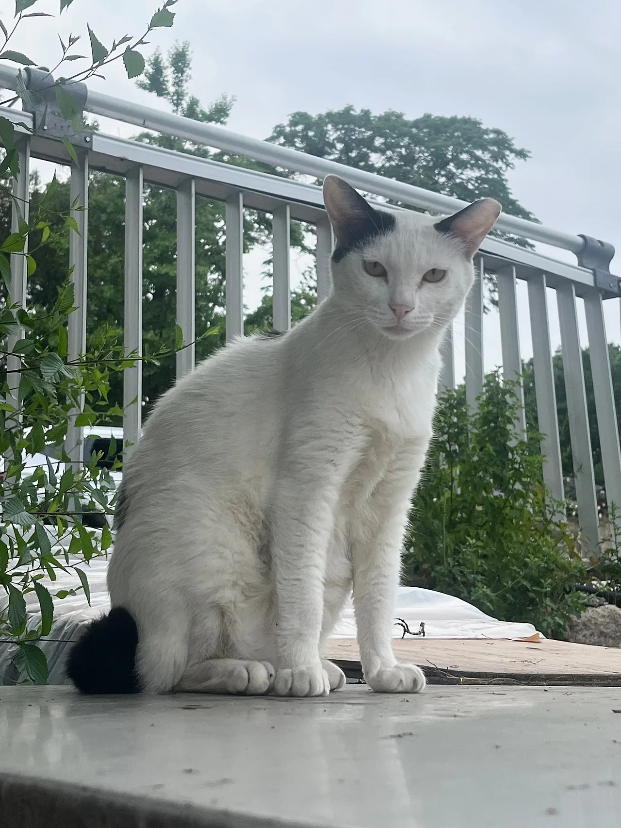 IMG%EF%BC%BF6885.jpg?type=w1600