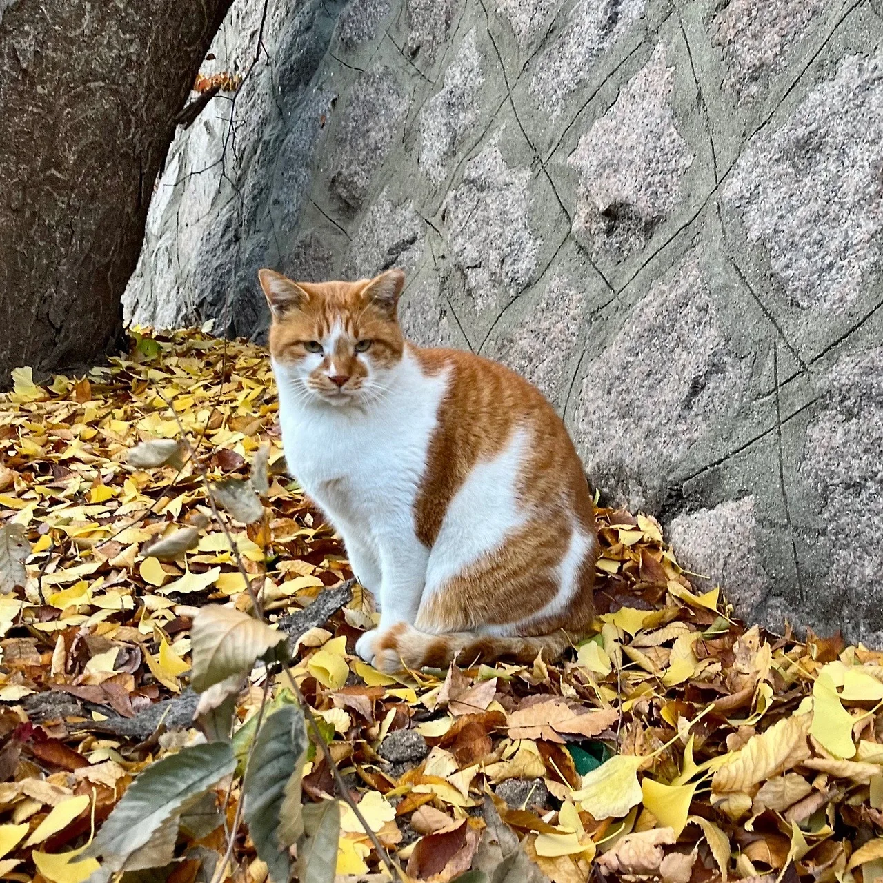 output%EF%BC%BF2526554598.jpg?type=w1600