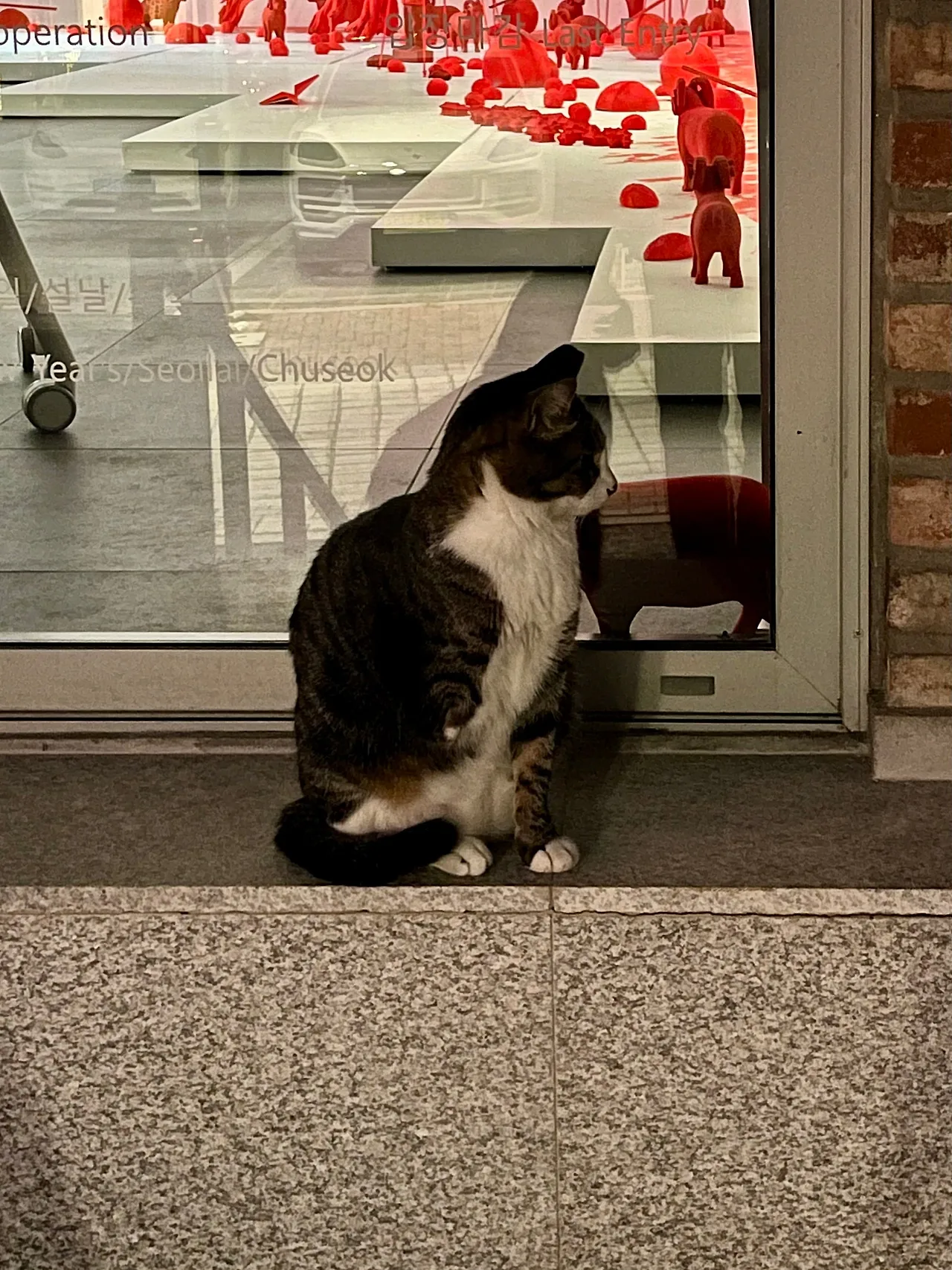 IMG%EF%BC%BF3710.jpg?type=w1600