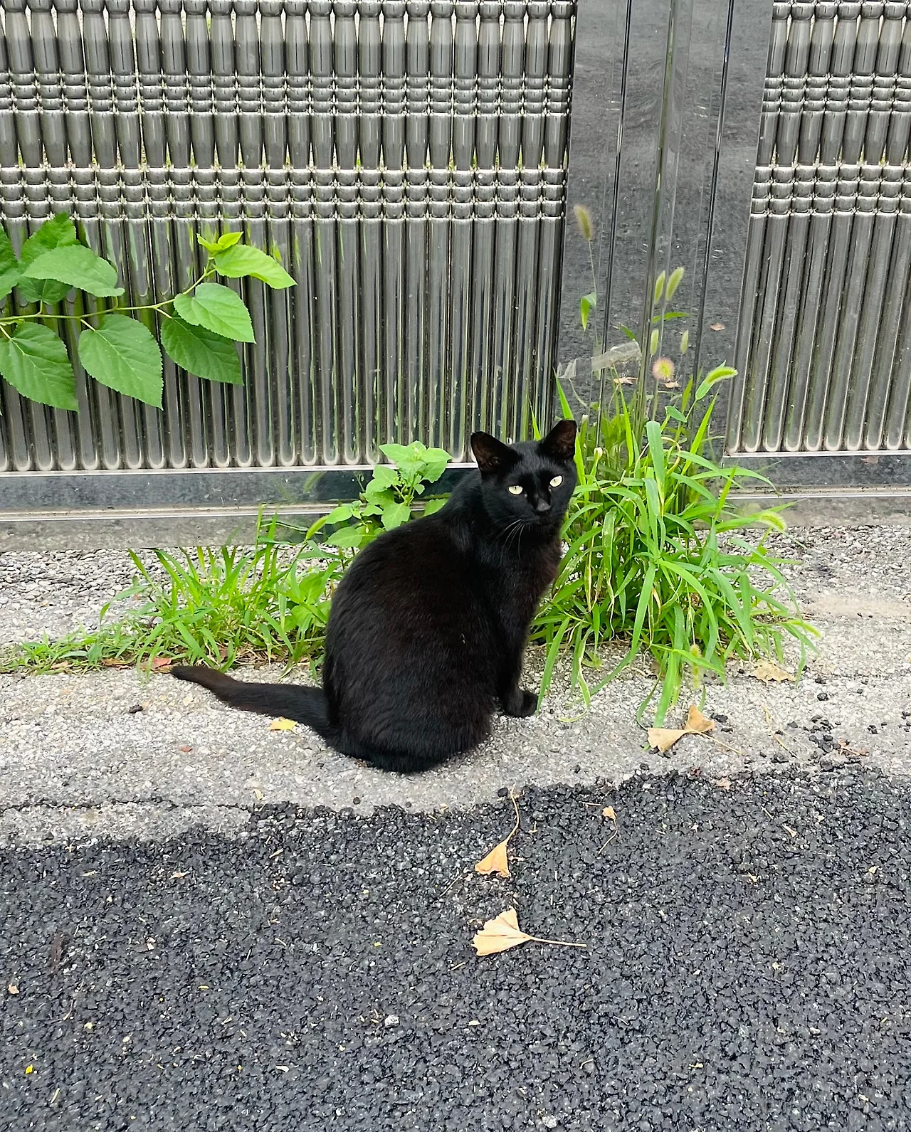 IMG%EF%BC%BF6942.jpg?type=w1600