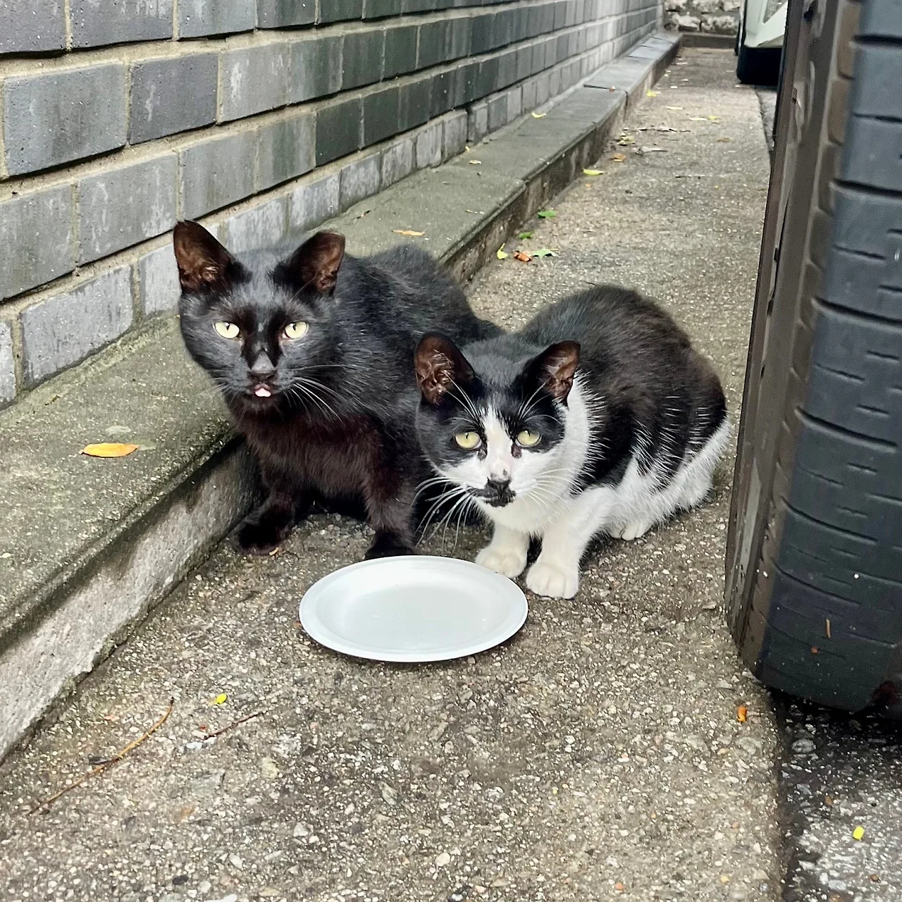 IMG%EF%BC%BF8359.jpg?type=w1600