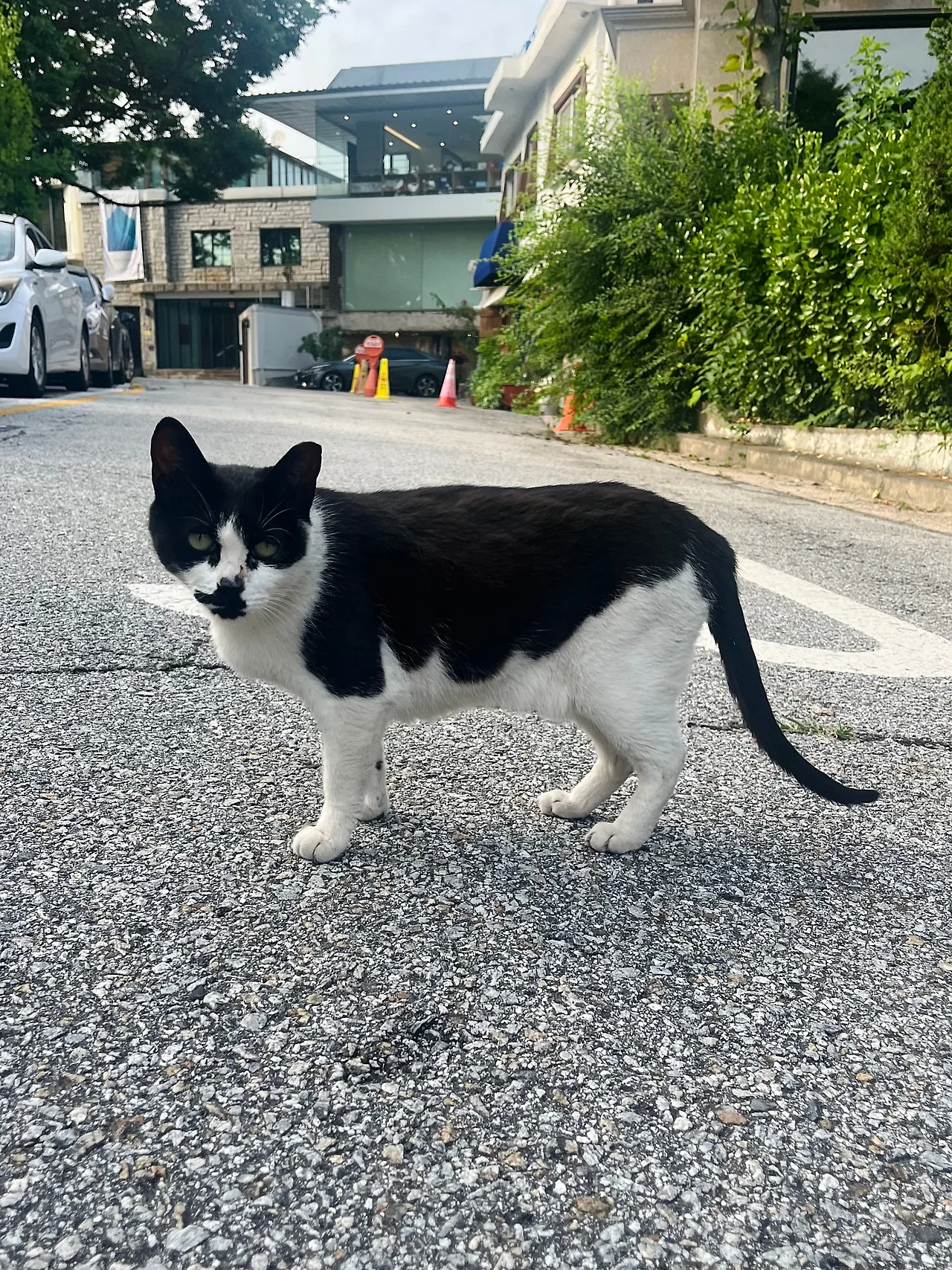 IMG%EF%BC%BF6975.jpg?type=w1600