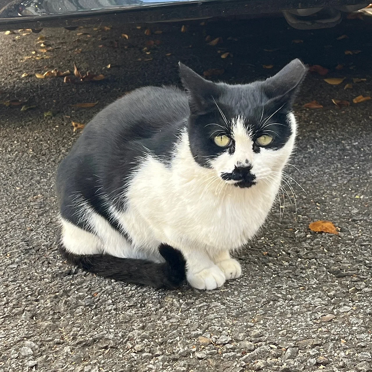 IMG%EF%BC%BF4176.jpg?type=w1600