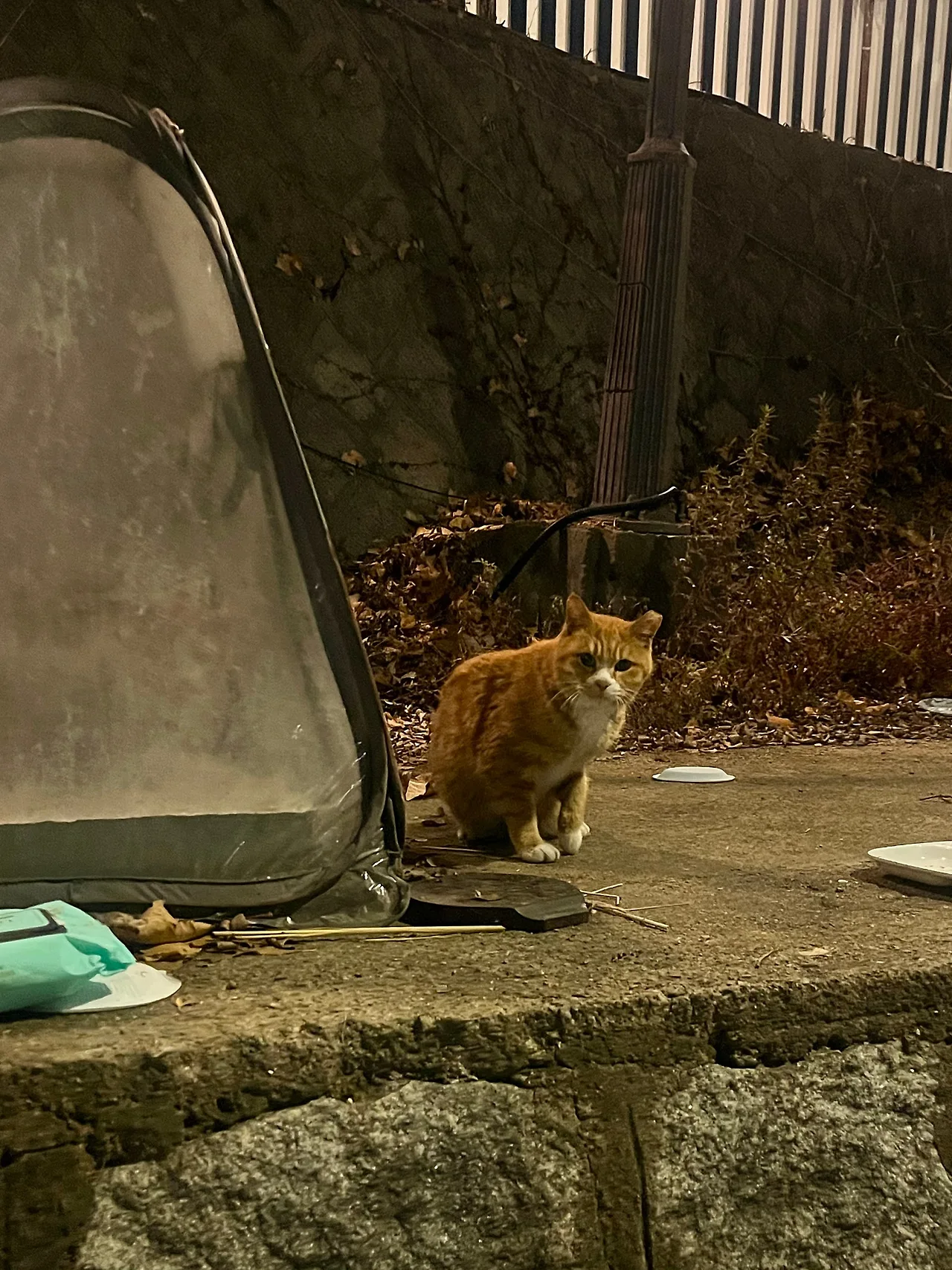 IMG%EF%BC%BF9743.jpg?type=w1600