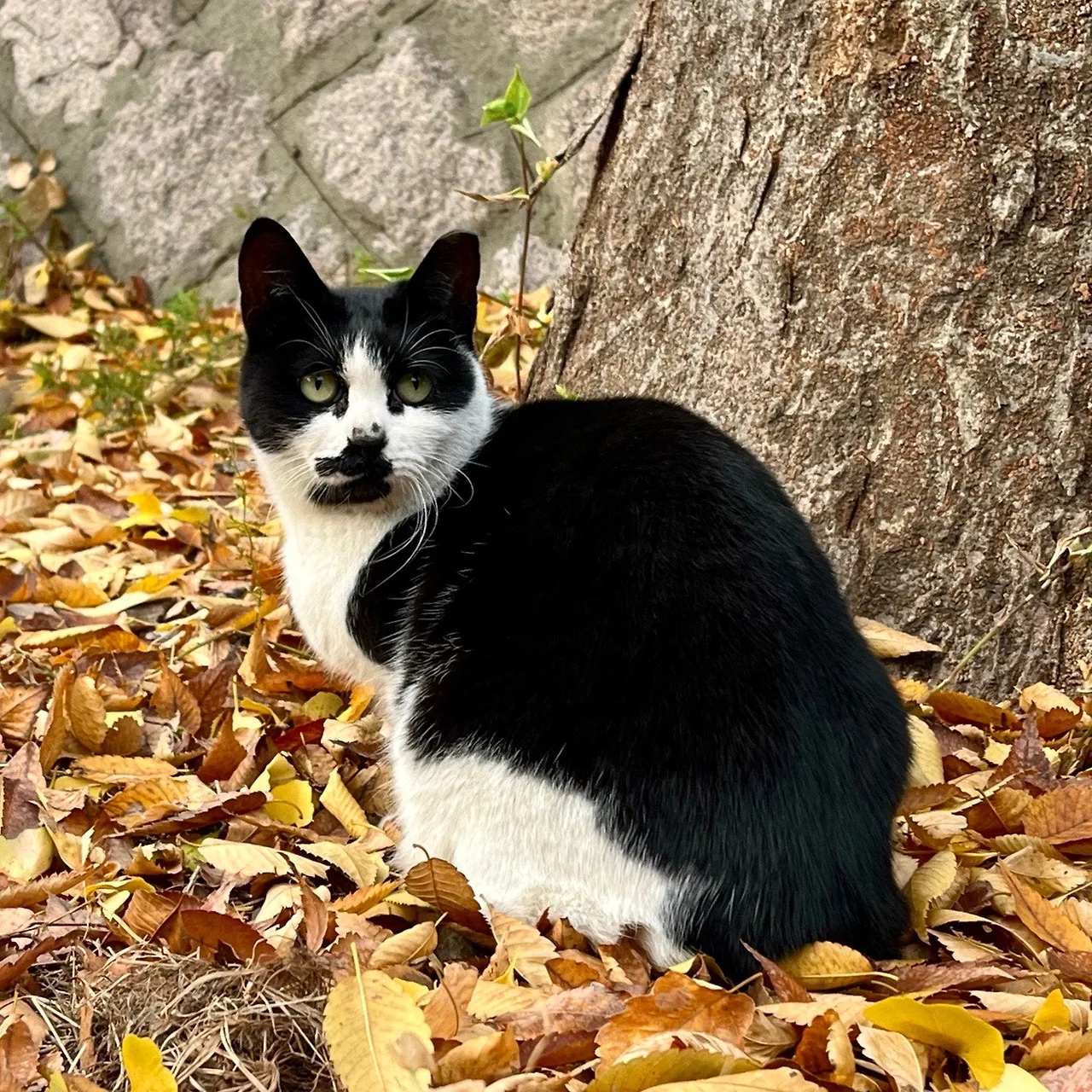 output%EF%BC%BF4104190236.jpg?type=w1600