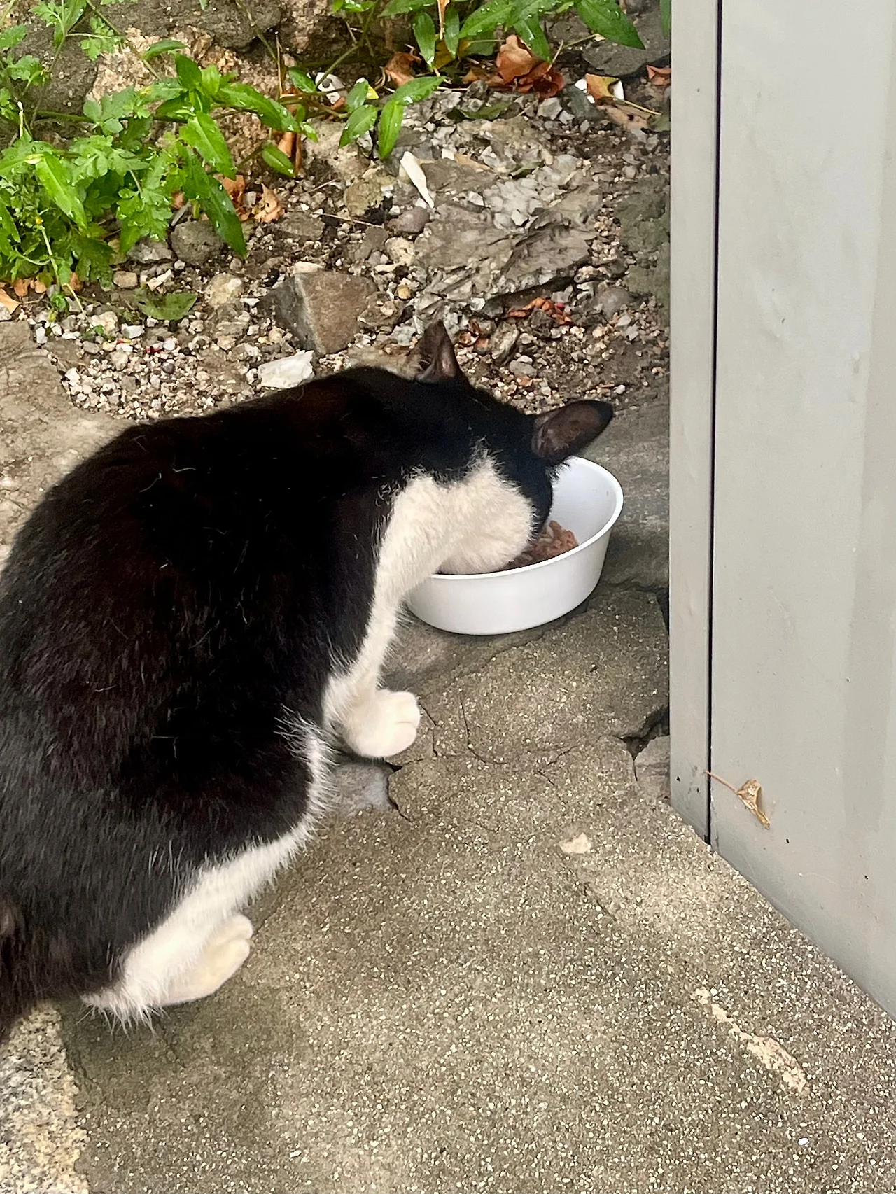 IMG%EF%BC%BF0766.jpg?type=w1600