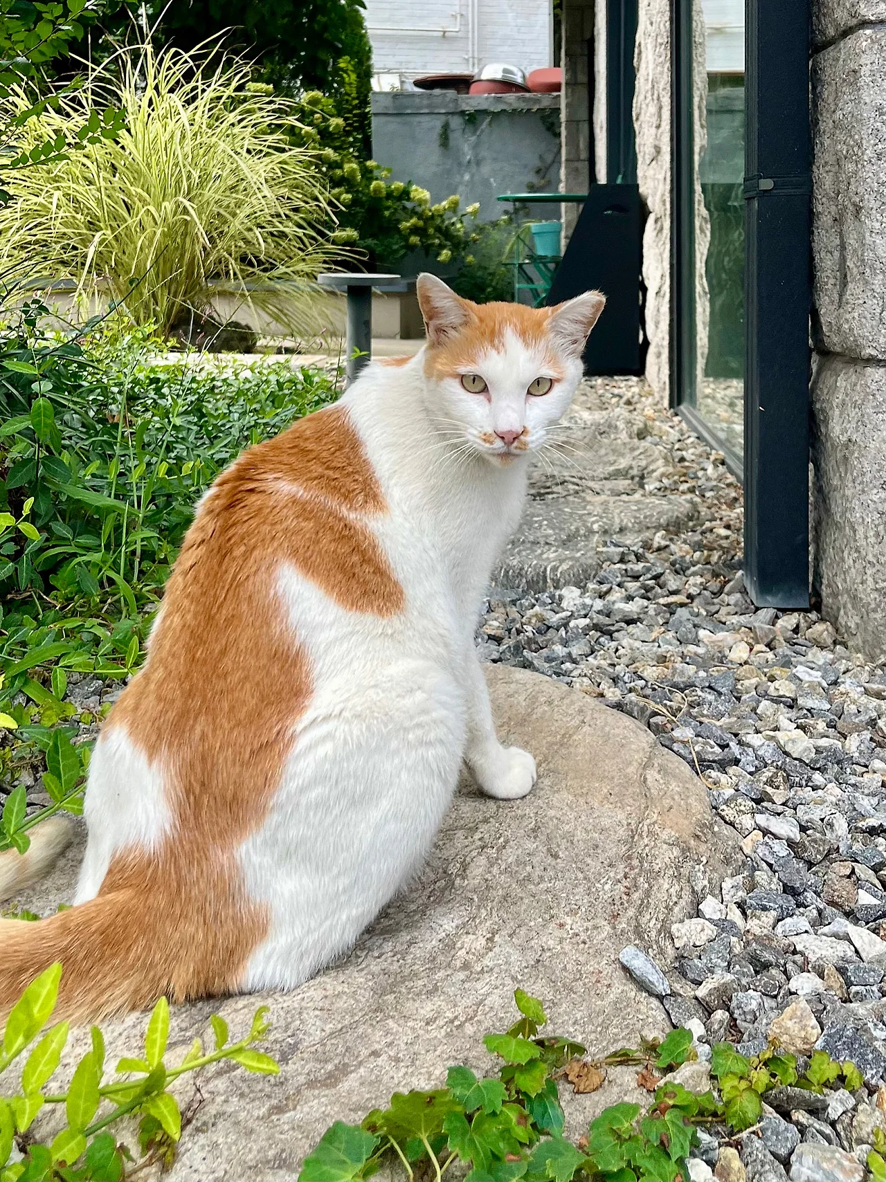 IMG%EF%BC%BF1941.jpg?type=w1600