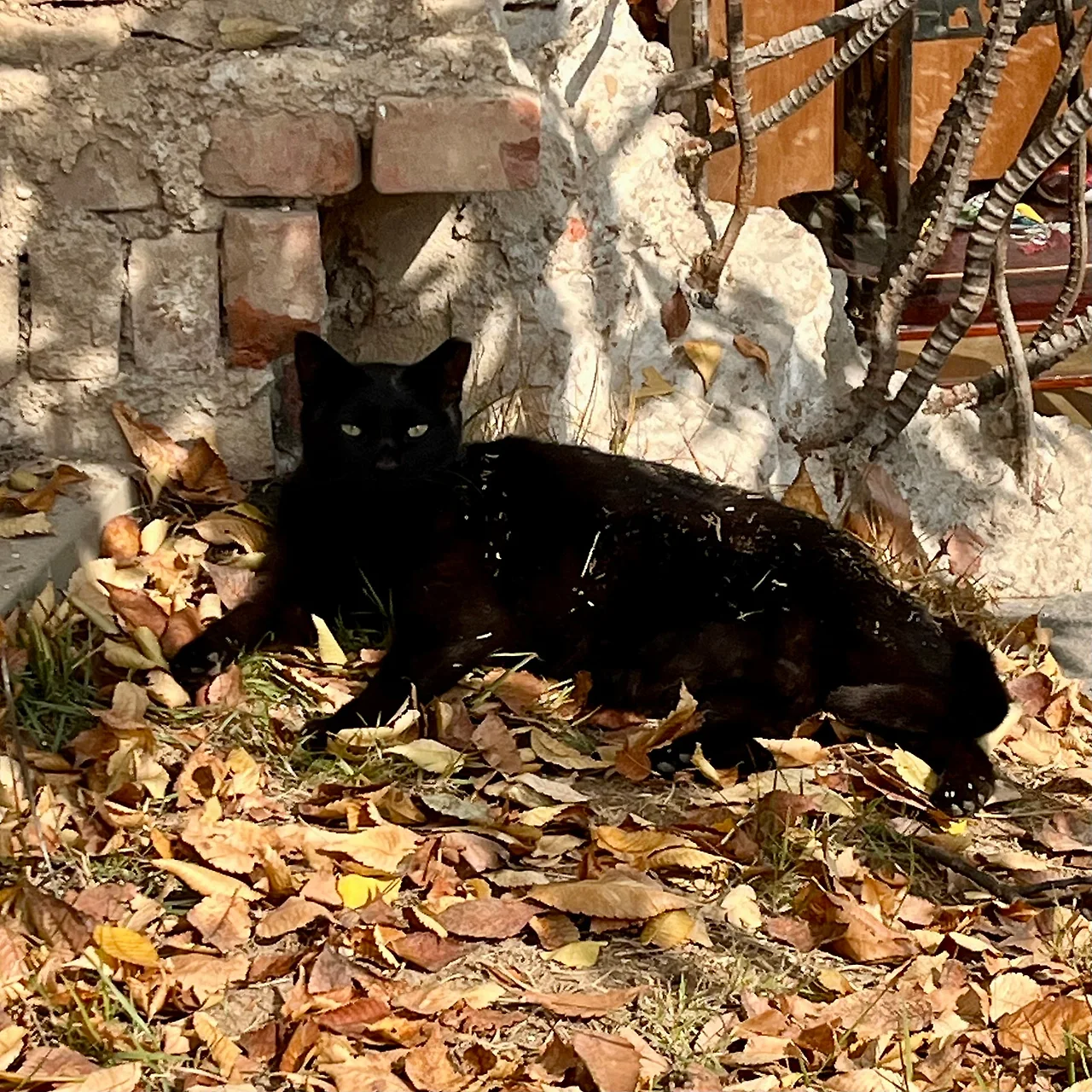 IMG%EF%BC%BF5163.jpg?type=w1600