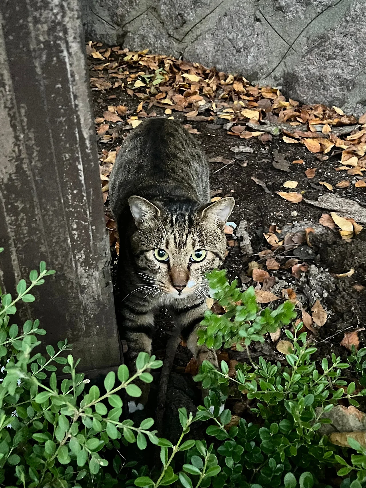 IMG%EF%BC%BF3499.jpg?type=w1600