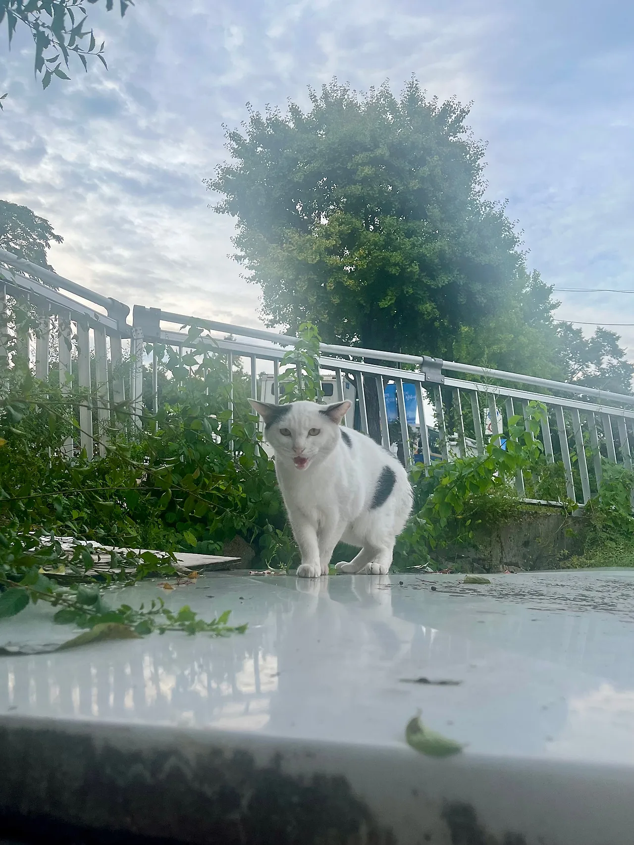 IMG%EF%BC%BF1625.jpg?type=w1600