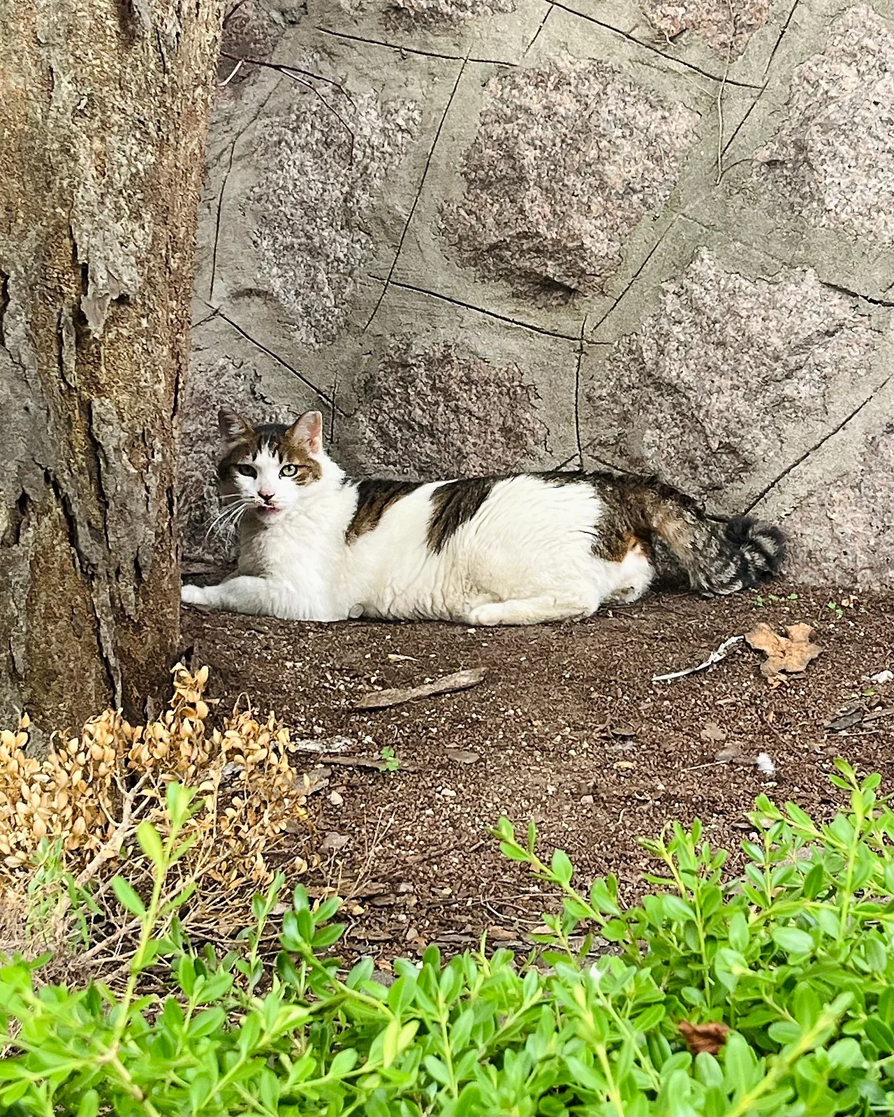 IMG%EF%BC%BF7106.jpg?type=w1600