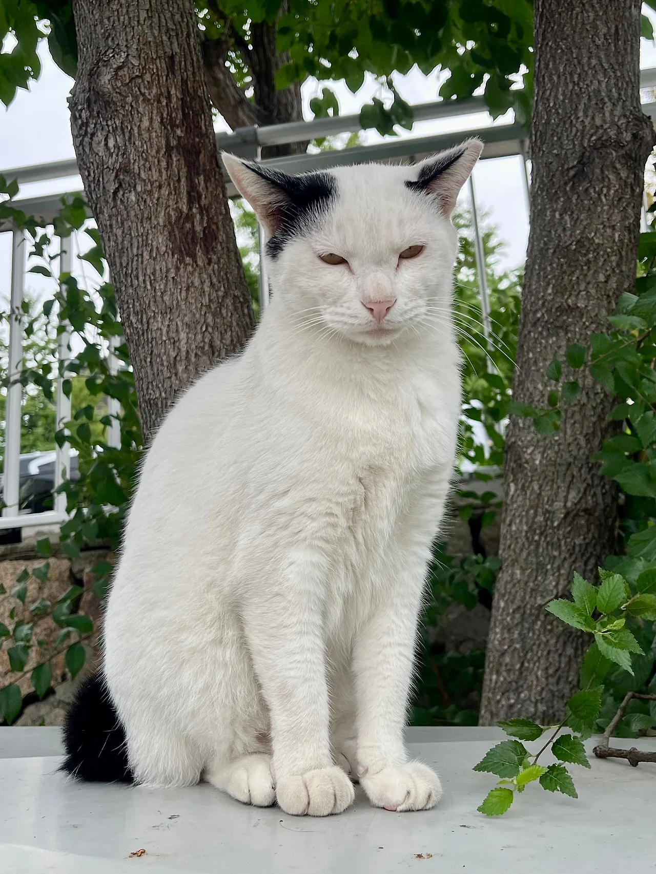 IMG%EF%BC%BF1783.jpg?type=w1600