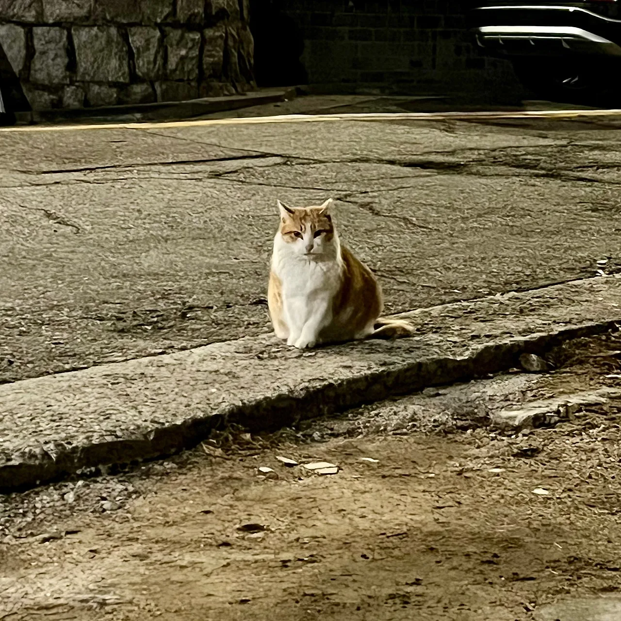 IMG%EF%BC%BF0128.jpg?type=w1600