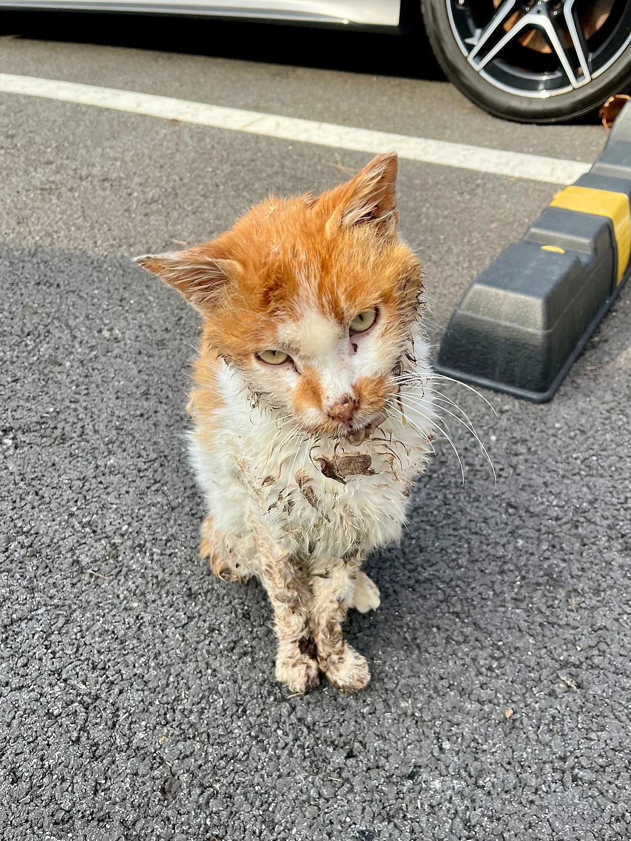 IMG%EF%BC%BF9193.jpg?type=w1600