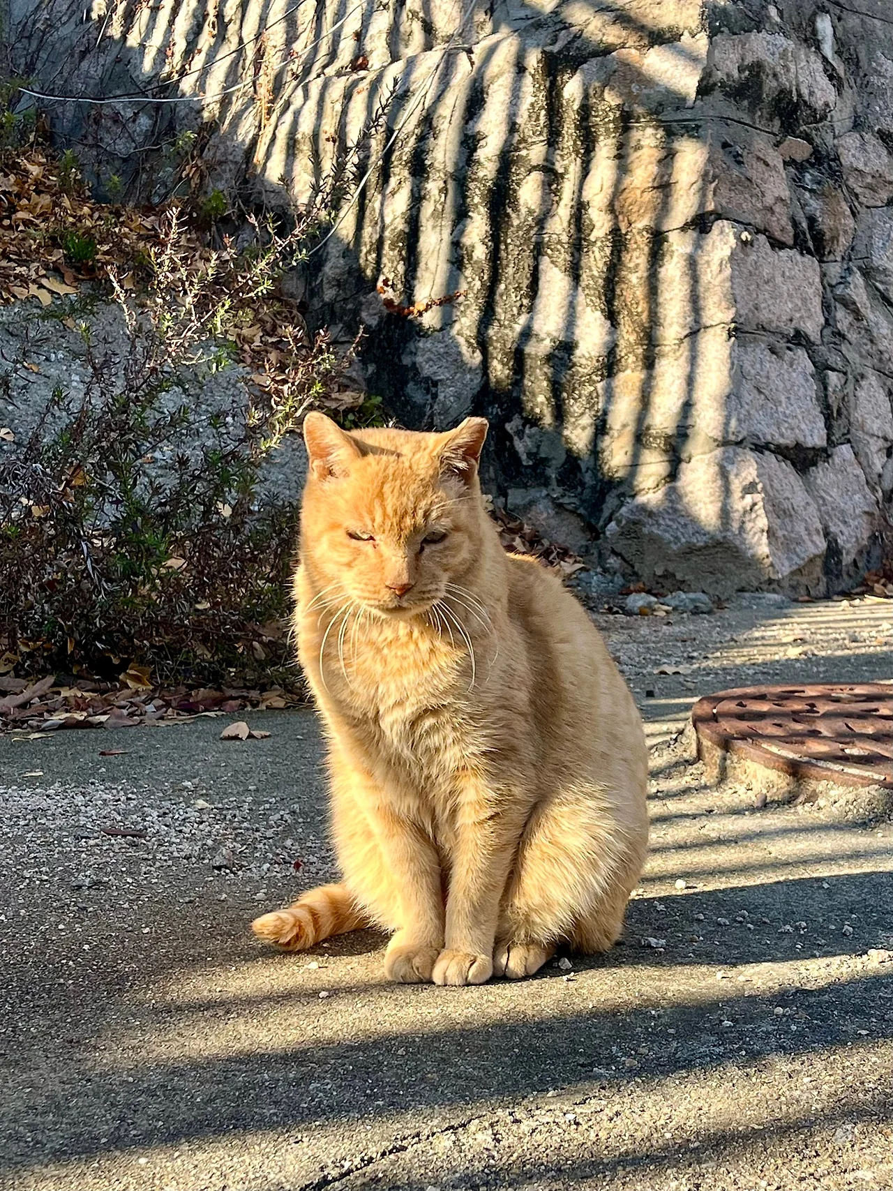 IMG%EF%BC%BF8889.jpg?type=w1600