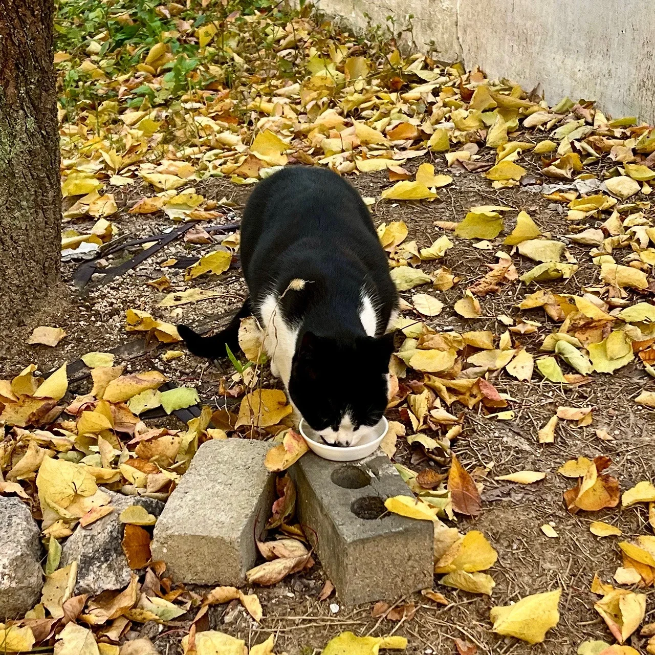 output%EF%BC%BF2478178837.jpg?type=w1600