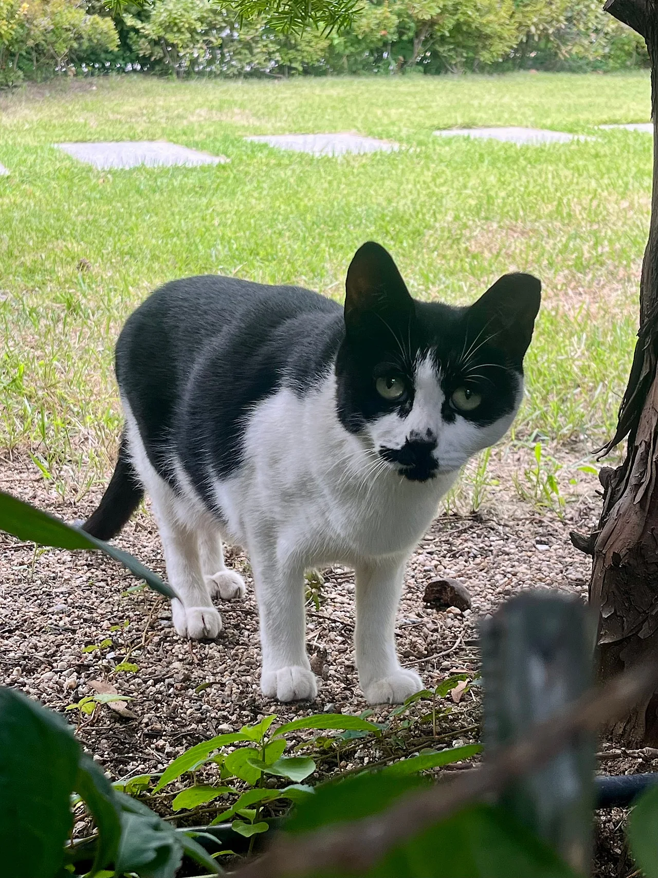 IMG%EF%BC%BF2005.jpg?type=w1600