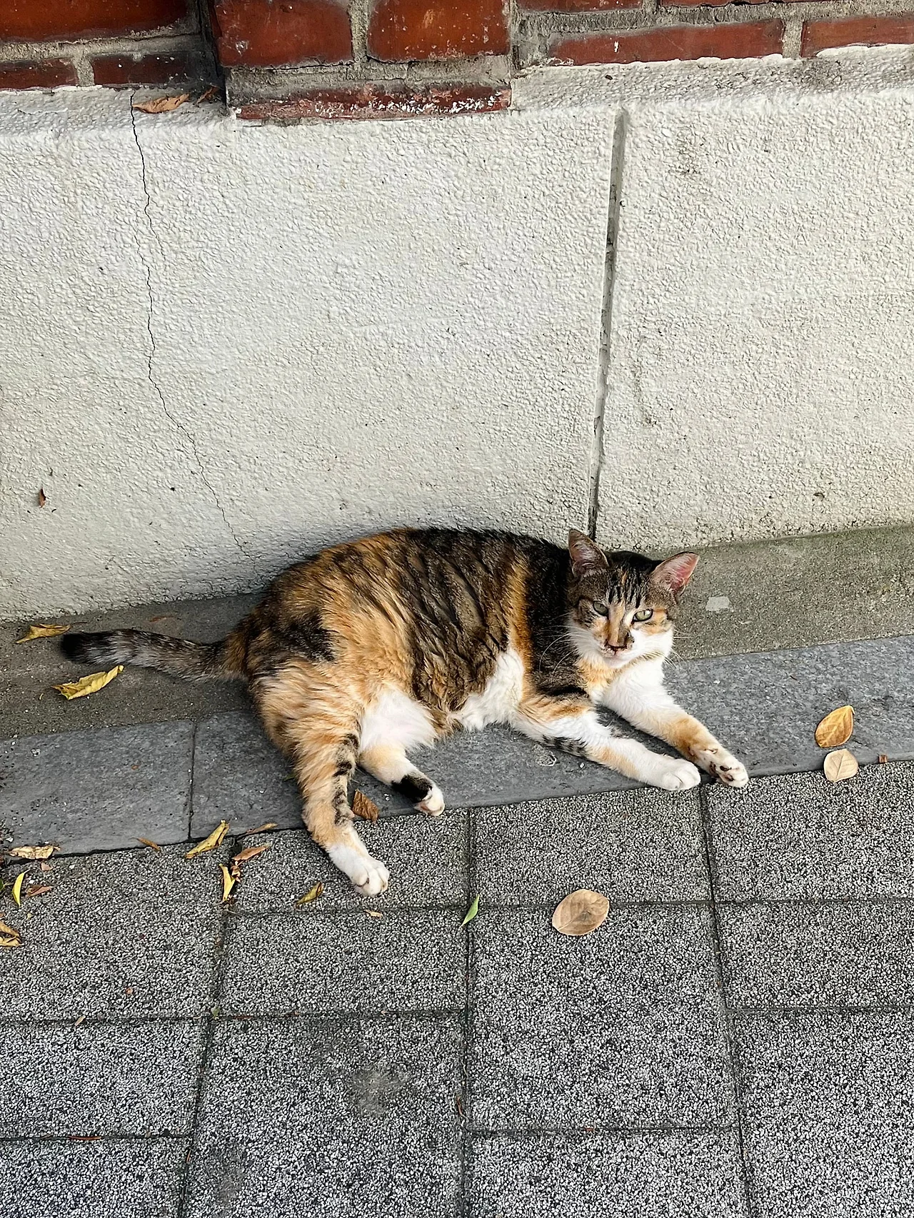 IMG%EF%BC%BF7976.jpg?type=w1600