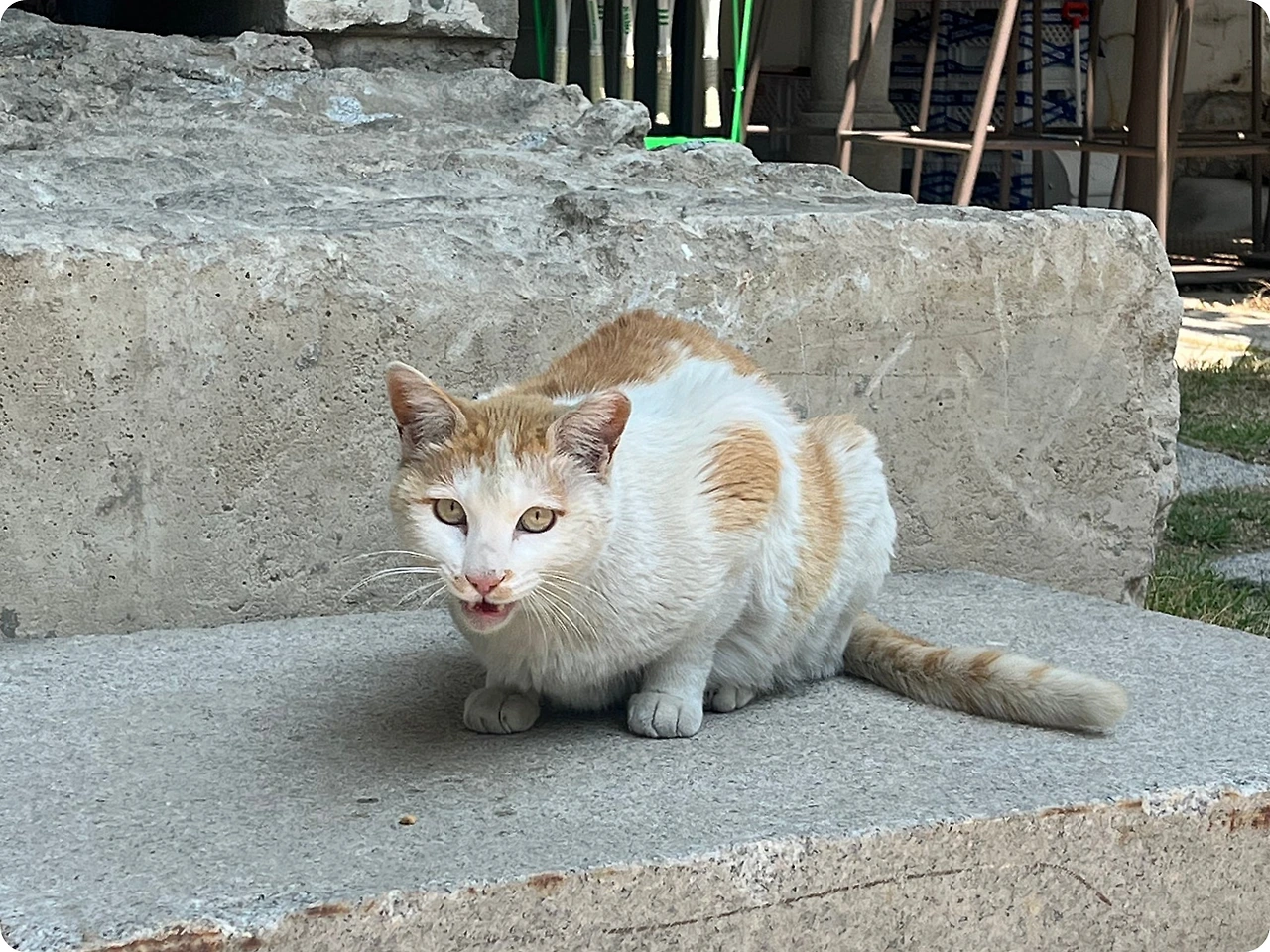 IMG_3813.jpg?type=w1600