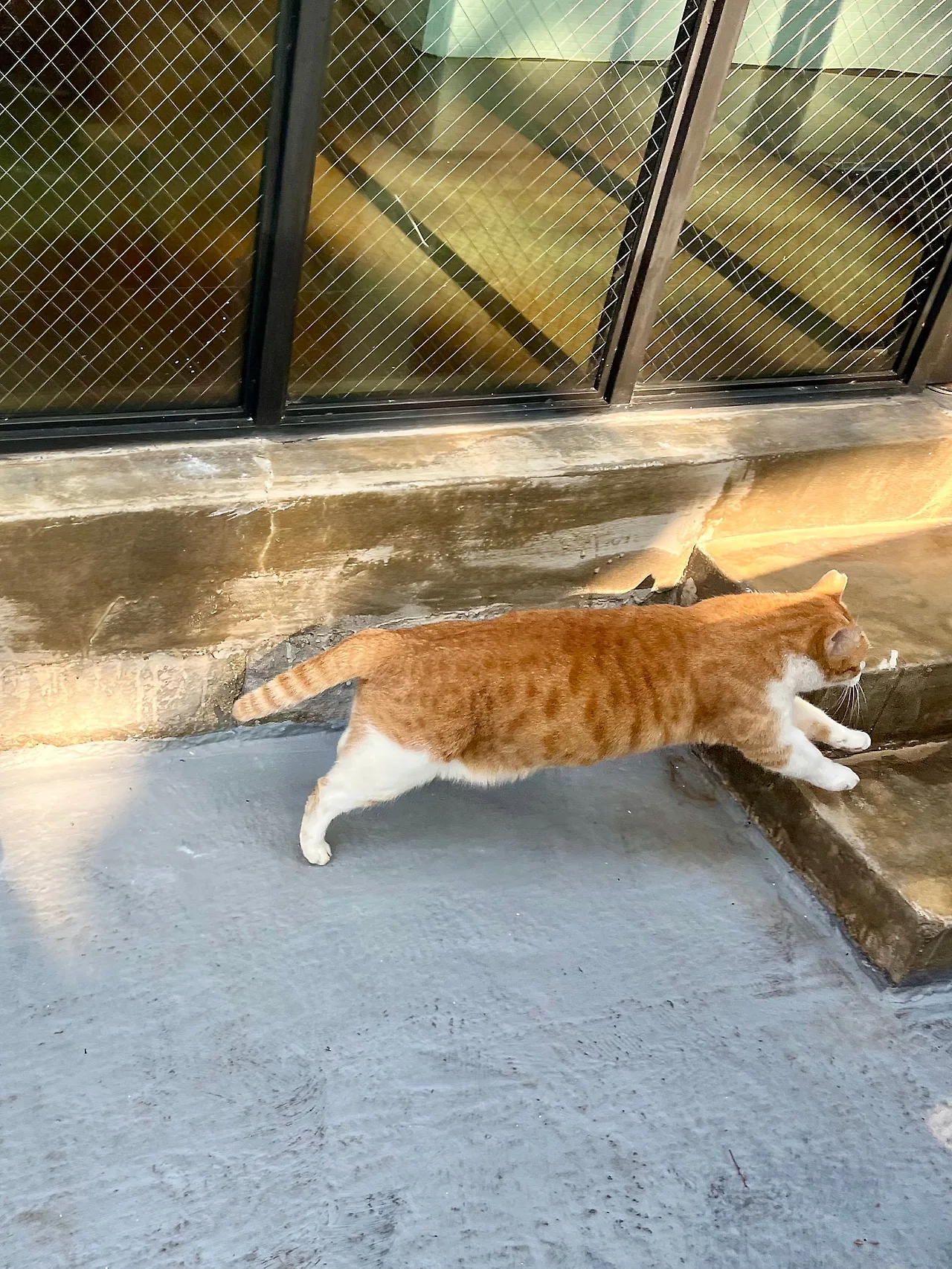 IMG%EF%BC%BF4156.jpg?type=w1600