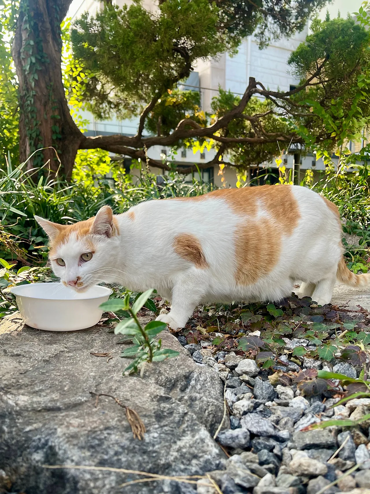 IMG%EF%BC%BF4088.jpg?type=w1600