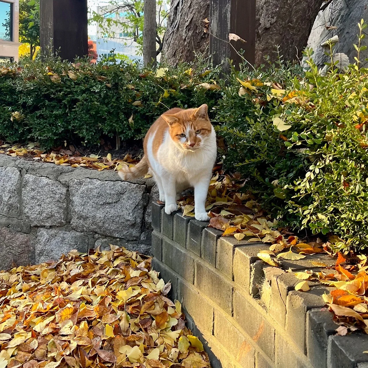 output%EF%BC%BF4160506379.jpg?type=w1600