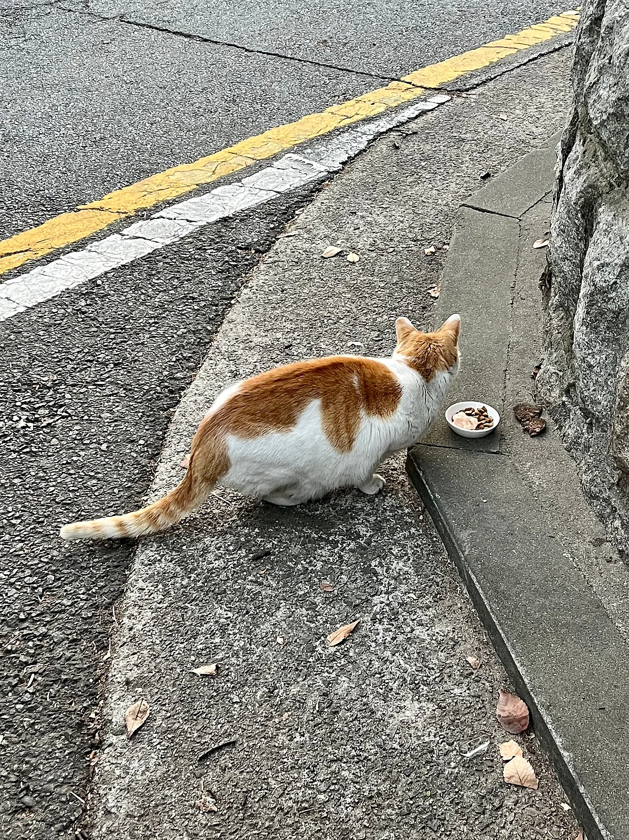 IMG%EF%BC%BF0697.jpg?type=w1600