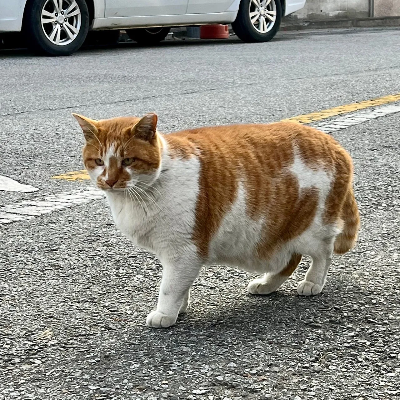 SE-AA92FEBA-CA31-44C3-92B2-126E0E34F0E1.jpg?type=w1600