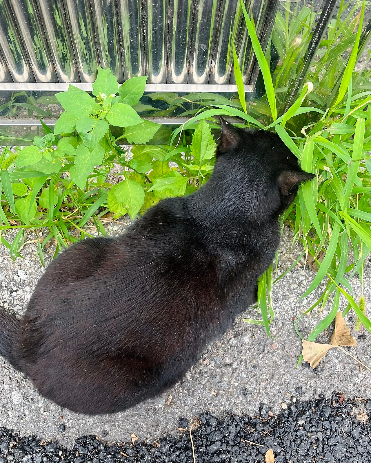 IMG%EF%BC%BF6944.jpg?type=w1600